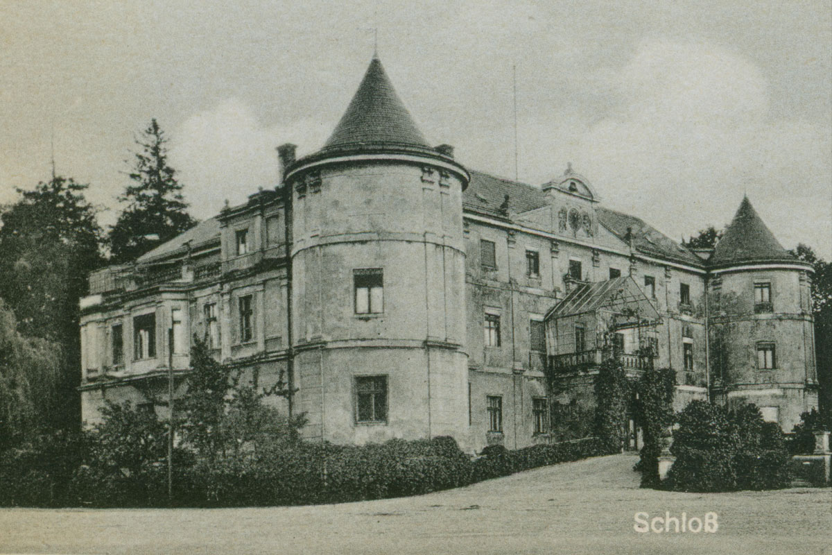 pałac w Czerninie