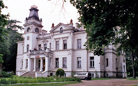 Pałac Wola Boglewska