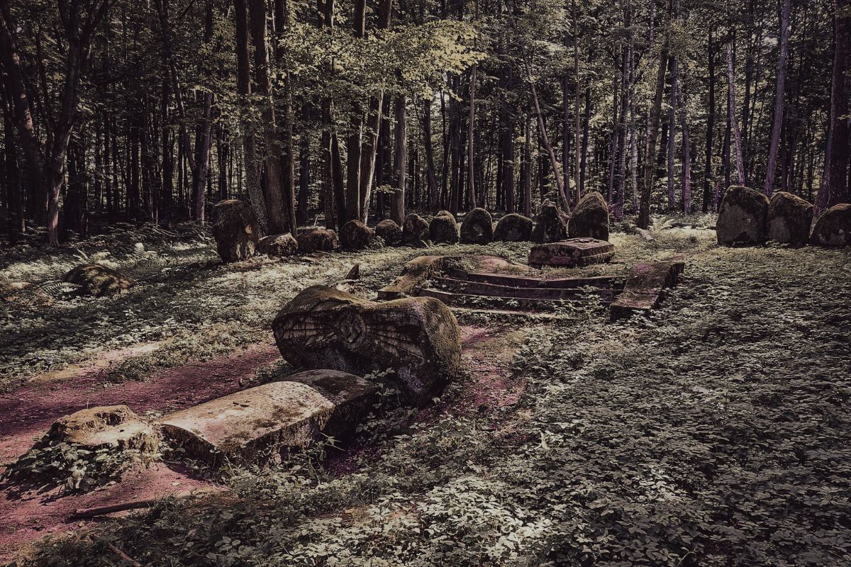 cmentarz rodowy zu Dohnów w Markowie, 2022