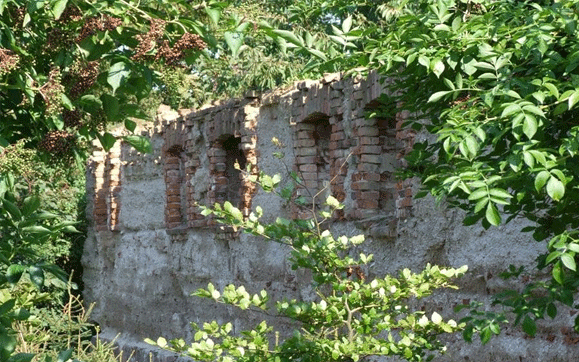 ruiny dworu w Pogoroszewie