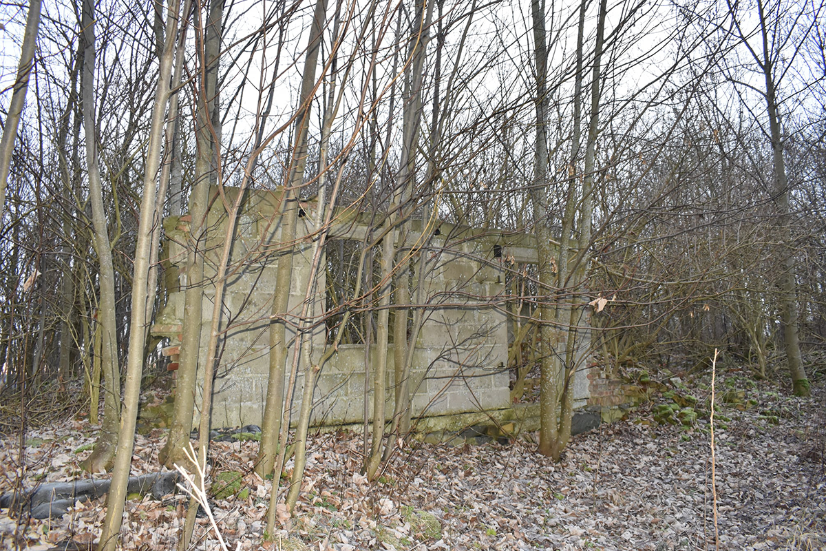 Ruiny dworu w Dobrzewinie