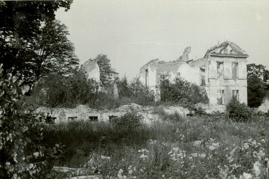 Ruiny pałacu w Osiekach