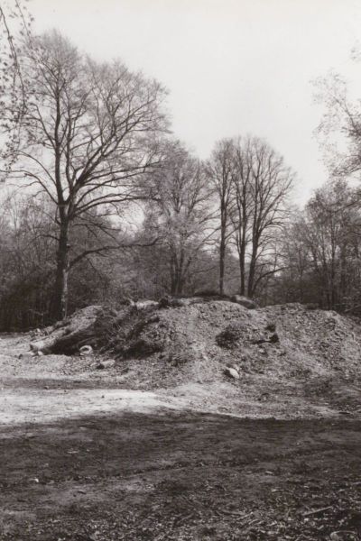Park popałacowy w Klęcinie widok na górny taras - miejsce po rozebranym pałacu, 1979