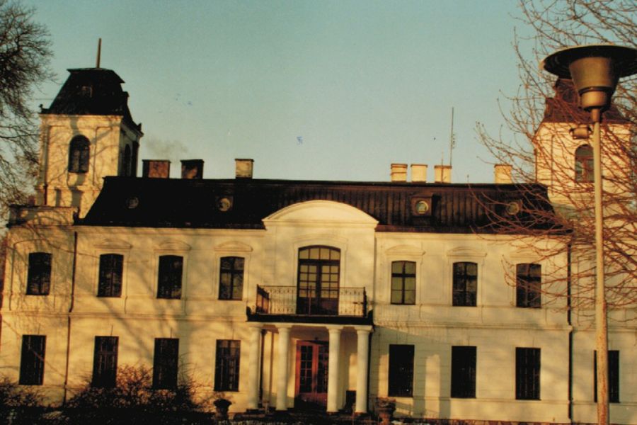Pałac w Dąbkach, lata 90-te XX w.