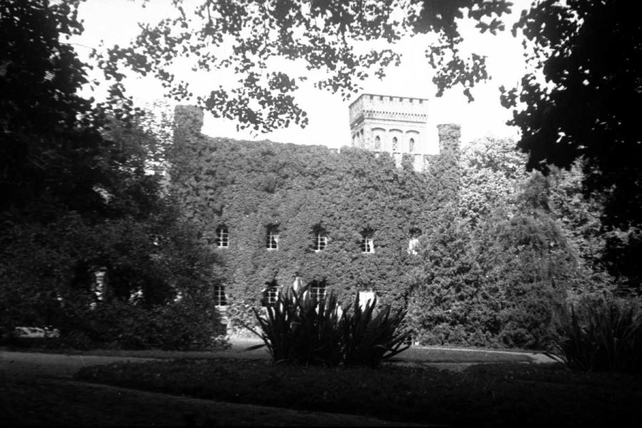 Fragment wieży pałacu wraz z fragmentem parku, 1918-1939