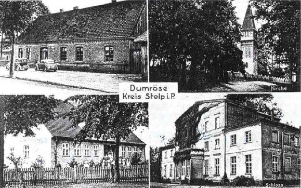 Pałac w Domaradzu niem. Dumrose