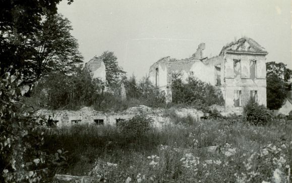 Ruiny pałacu w Osiekach