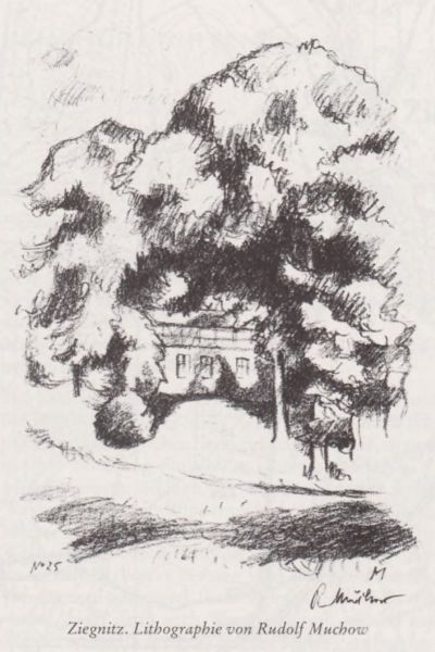 Pałac w Ścięgnicy Litografia 1924 Rudof Muchow
