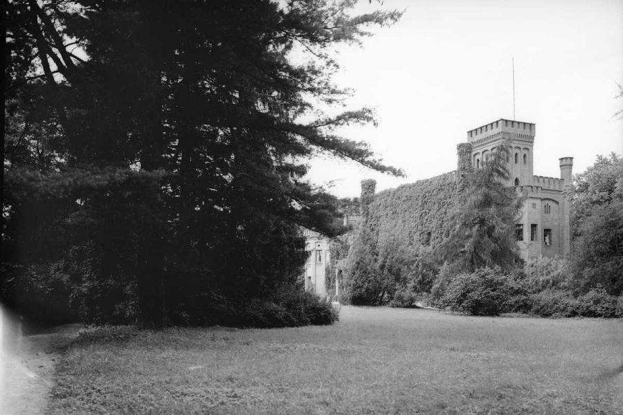 Fragment pałacu pokryty pnączami, 1930