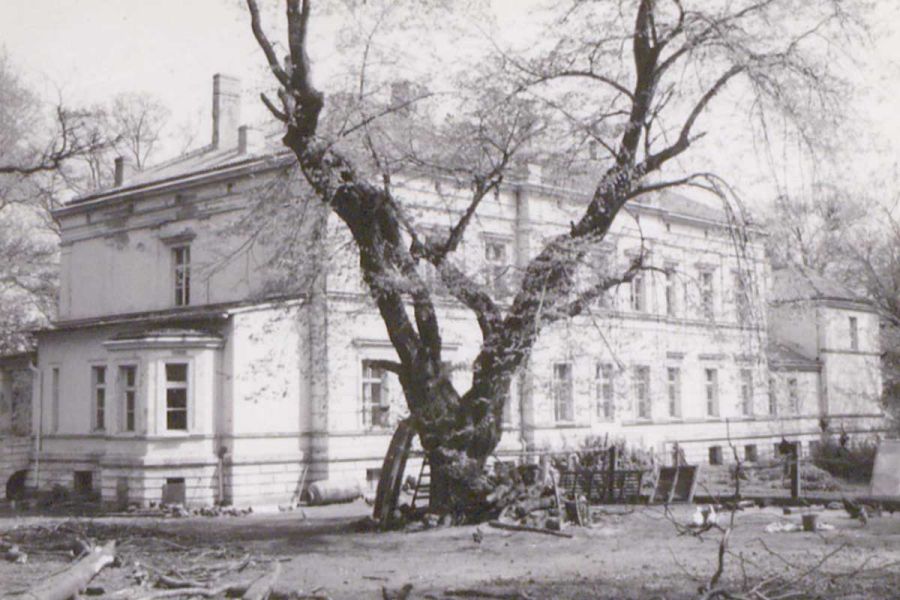 Pałac Płowęż 1985