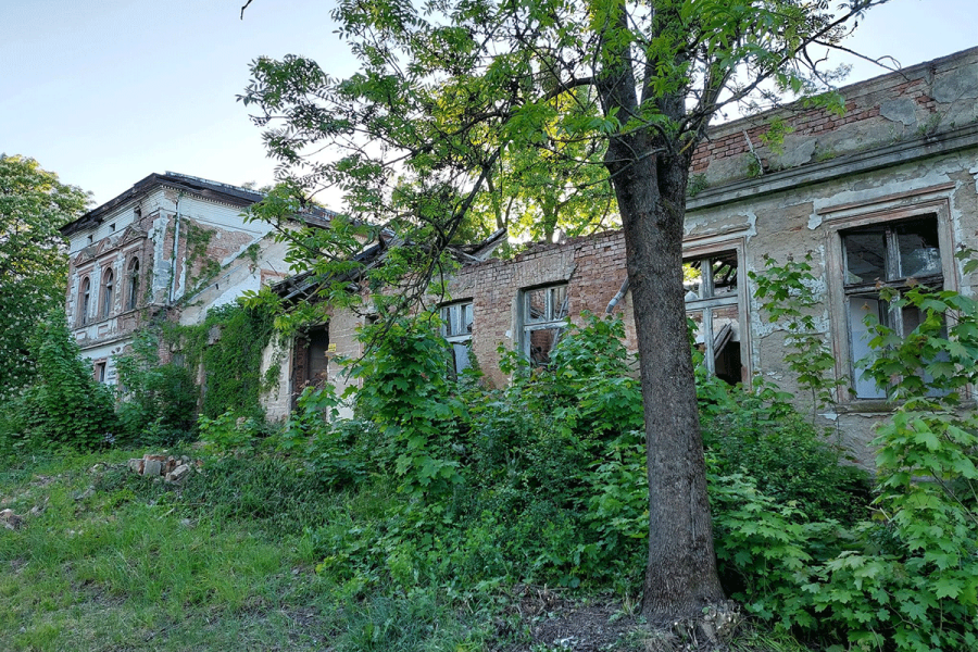 Ruiny dworu w Osówcu