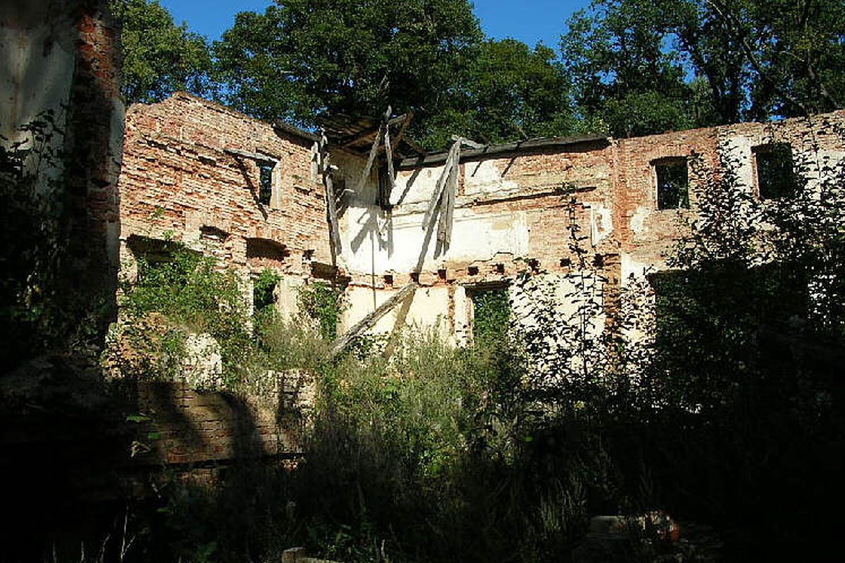 ruiny pałacu w Malinowie